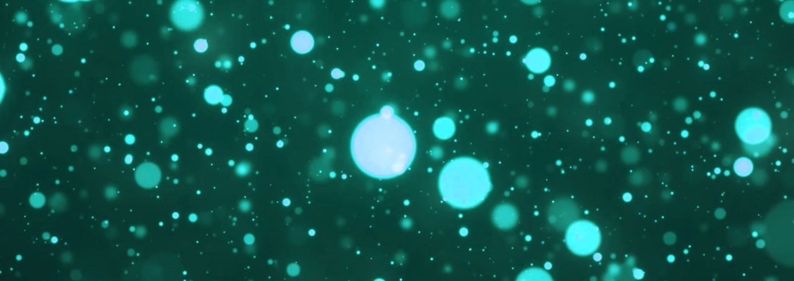 Made for the Big Reveal | Fasul Studio